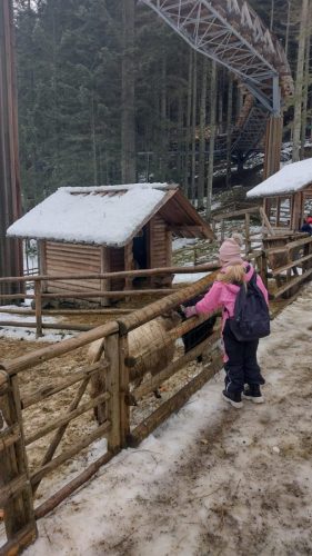 Wyjazd-mikolajkowy-uczniow-kl.-I-III-do-Bramy-Gorce-w-Nowym-Targu-12