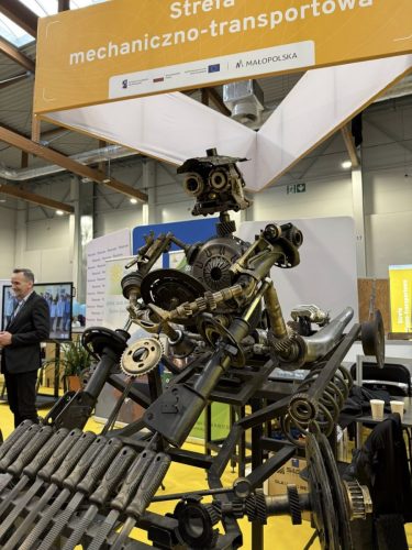 Festiwal-Zawodow-w-Krakowie-1