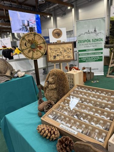 Festiwal-Zawodow-w-Krakowie-4