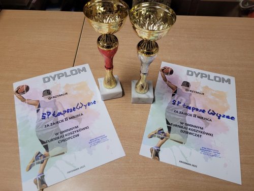 Puchary-i-dyplomy-z-zawodow-sportowych