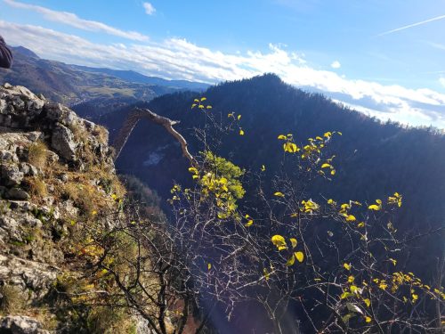 Zajecia-terenowe-w-PPN-klasa-8-10