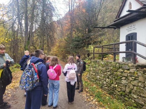 Zajecia-terenowe-w-PPN-klasa-8-4