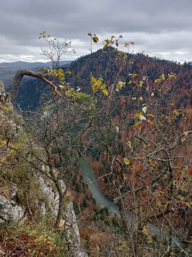 Klasa VI na zajęciach terenowych w PPN 2025