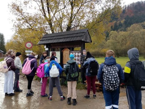 Zajecia-terenowe-w-PPN-klasa-6-2