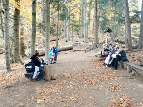 Zajecia-terenowe-w-PPN-klasa-6-3