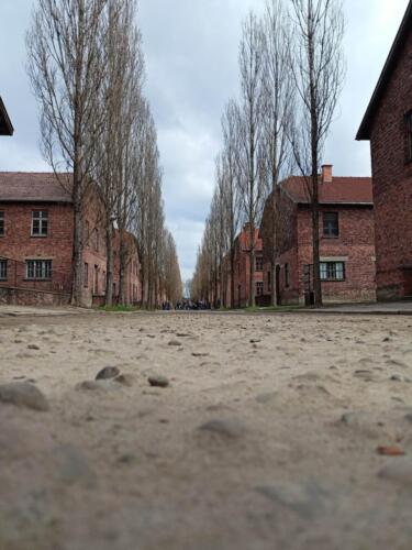 Uczniowie-klasy-VIII-podczas-wycieczki-do-nazistowskiego-obozu-koncentracyjnego-i-zaglady-Auschwitz-Birkenau-w-Oswiecimiu-13