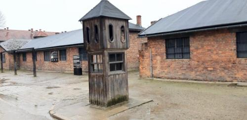 Wycieczka-uczniow-kl.-8-do-Miejsca-Pamieci-i-Muzeum-Auschwitz-Birkenau-8